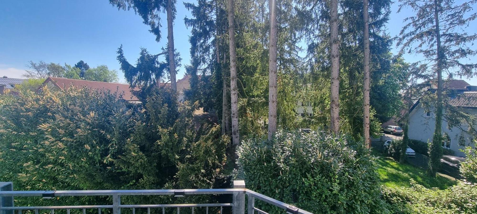 Ferienwohnung Am Kurwald In Bad Lippspringe Buitenkant foto
